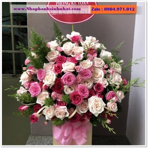 Hoa Tươi Tặng Khai Trương - OK28